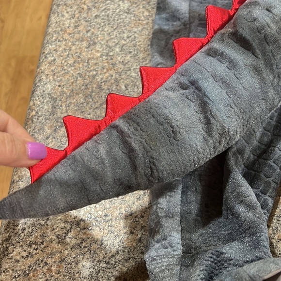 Ministry of Rascal dragon costume size 2T - Picture 15 of 15